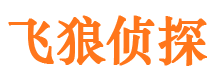 五台市调查公司